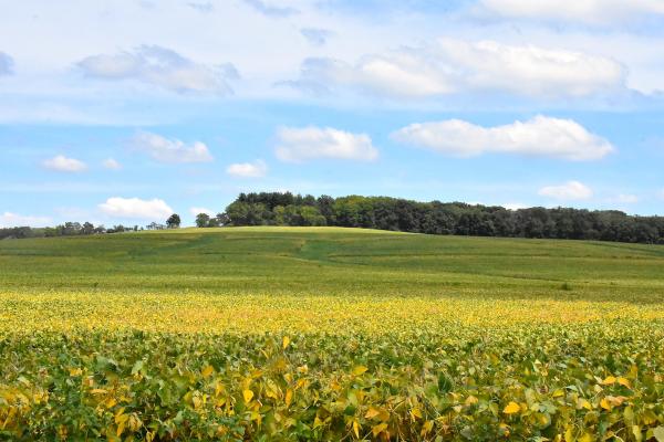 Driftless Area in Illinois