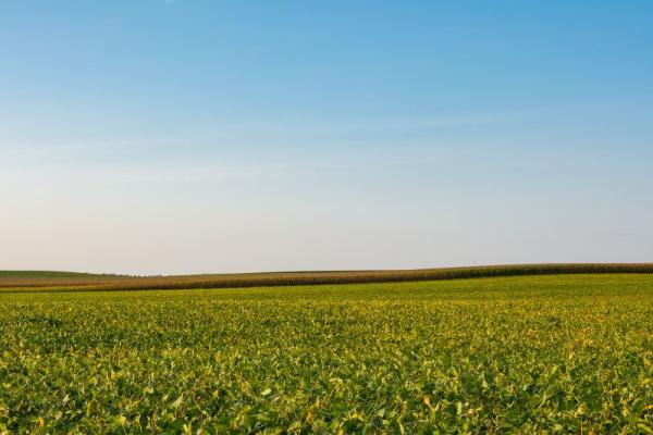 farm bill background