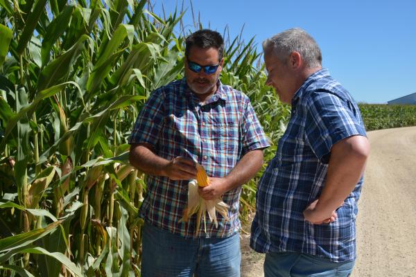 Congressman Sorensen speaks to farmer in front of cornfield