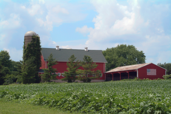 Farm in Rockford, Illinois.