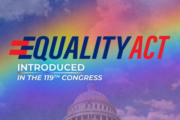 Graphic of the Equality Act