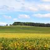 Driftless Area in Illinois