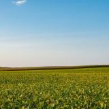 farm bill background