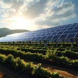 Sorensen Introduces Bill to Expand Opportunities for Farmers