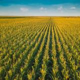 Sorensen Applauds EPA Decision to Expand E15 Sales, Lowering Costs for Working Families