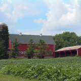 Farm in Rockford, Illinois.