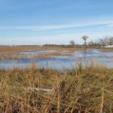 Flooding
