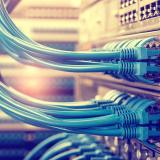 Image of internet cables.