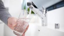 Person filling a cup of water at a faucet