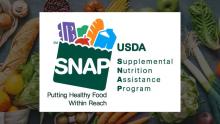 Graphic of the Supplemental Nutrition Assistance Program (SNAP)